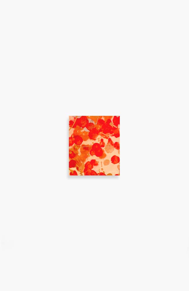 Splattered - Coral 10 x 9